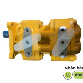 Bơm Hai Mặt Máy Ủi ZD160-3