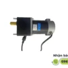 Mô Tơ Chổi Phụ 36V